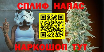 стаф Донецк