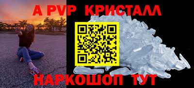 стаф Донецк