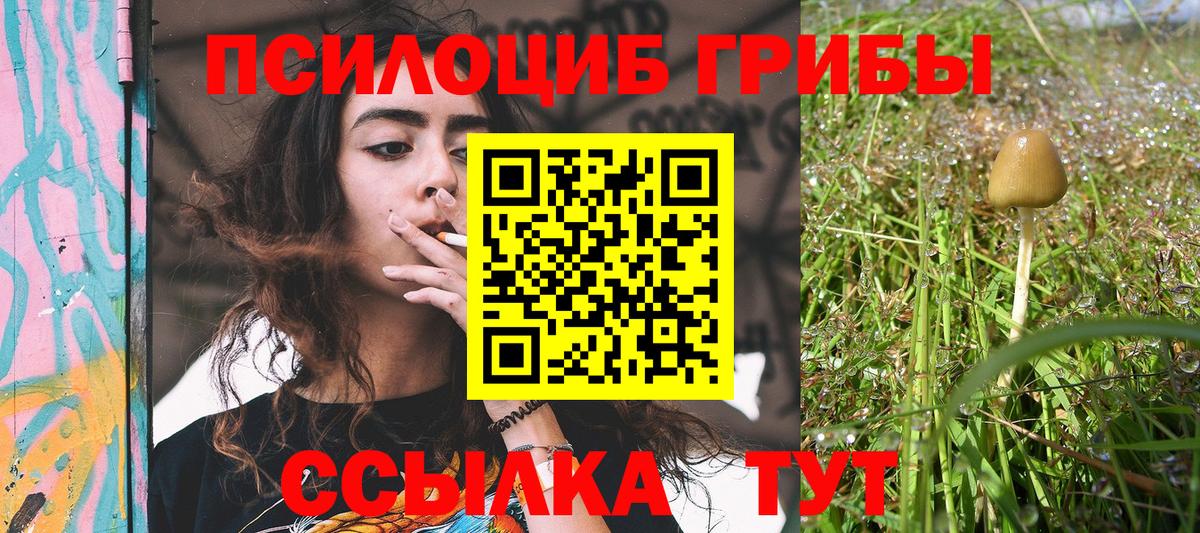 Галлюциногенные грибы MAGIC MUSHROOMS Коркино