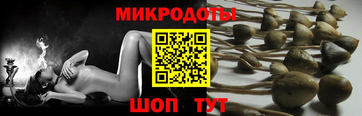 Псилоцибиновые грибы GOLDEN TEACHER  Вход с VPN  Галлюциногенные грибы ЛСД  Коркино 